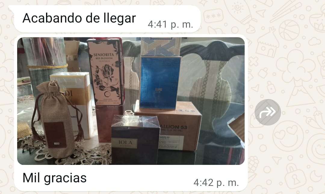 whatsapp image 2025 09 05 at 17.13.48